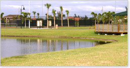 pr_Joestonis_rotate01